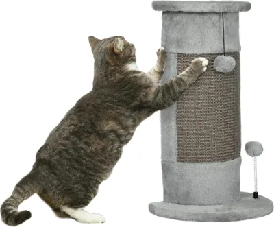 Image de Arbre à chat pour chats - Colonne griffoir avec balles suspendues - Bois, Un étage, 34 x 25,5 x 58 cm - Gris