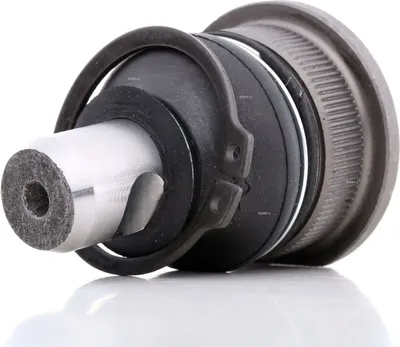 Produktbild von RIDEX Traggelenk Vorne für RENAULT Twingo III Schrägheck (BCM) 2462S0417