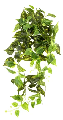 Kunstpothos-Strauch, Polyester, Grün, 120 x 20 x 20 cm