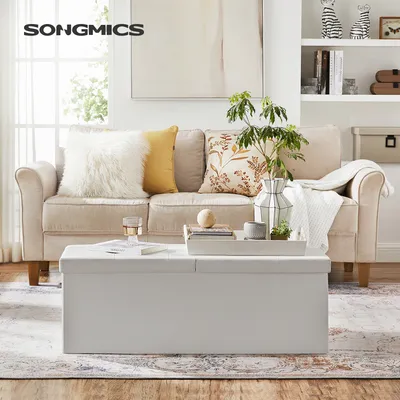 Obrázek produktu pro SONGMICS Truhla, 120L, stolička, skládací, s kovovým rámem, 110x38x38cm