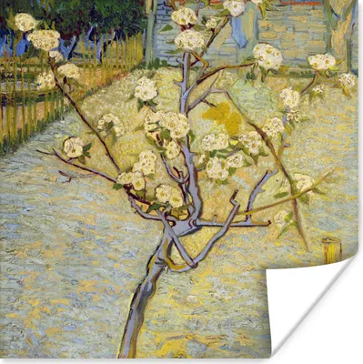 Produktbild von MuchoWow® Poster Blühender Birnbaum - Vincent van Gogh 50x50 cm - Wohnzimmerdekoration