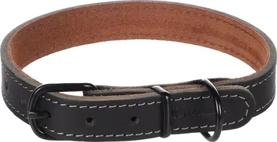 Produktbild von Flamingo Halsband Montana schwarz, Größe: M