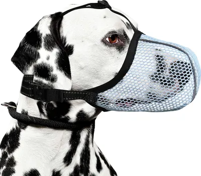 Produktbild von Maulkorb für Hunde, weicher Netzmaulkorb für kleine, mittelgroße und große Hunde, atmungsaktiver Korbmaulkorb gegen Bellen, Kauen und Beißen