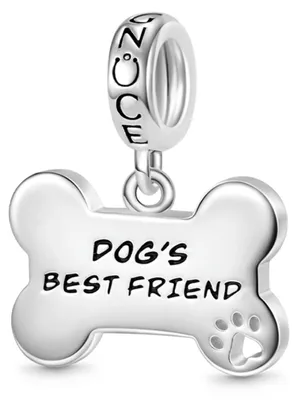 Produktbild von Gnoce Charm Anhänger Hundeknochen GDC130 Silber