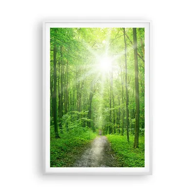 Produktbild von Gerahmtes Poster - Weißer Rahmen - Sonnenstrahlen Wald Sommer - 70x100 cm - Wand Bild - Wanddeko - Wandbilder - Wandposter - Bilderrahmen - Bilder - Kunstdruck - Wandbild - P2WPA70x100-2689