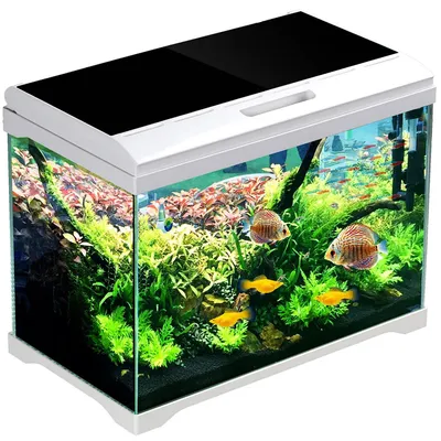 Zdjęcie produktu dla SunSun Supreme AquaPlant 19l - zestaw akwarium