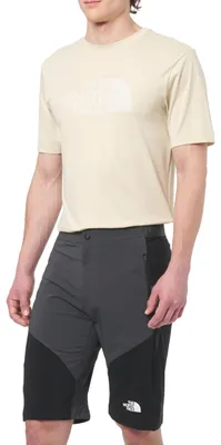 Produktbild von THE NORTH FACE NF0A825X4JK M FELIK Slim Tapered Short Shorts Herren Asphalt Grey