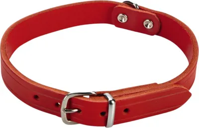 Produktbild von Beeztees - Hundehalsband - Leder - rot - 35,5-41,5 cm x 18 mm