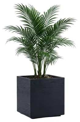 Produktbild von HowHomely Blumenkübel Blumentopf auf Rollen anthrazit 40x40xh40cm Holzoptik