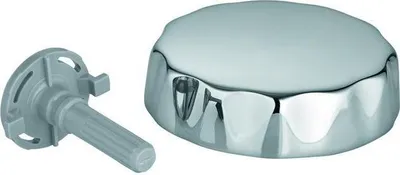 Immagine prodotto di Maniglia Grohe per scarico e troppopieno cromo - 45321000