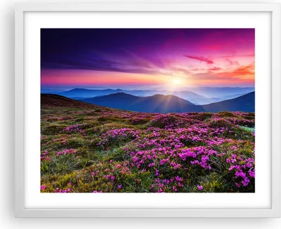 Produktbild von Gerahmtes Poster - Weißer Rahmen - Wiese Berg Himmel Landschaft - 50x40 cm - Wand Bild - Wanddeko - Wandbilder - Wandposter - Bilderrahmen - Bilder - Kunstdruck - Wandbild - P2WAA50x40-2719