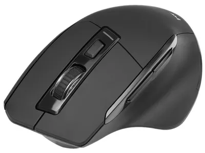 Produktbild von Tracer Cozy, rechts, Optisch, RF Wireless, 1600 DPI, Schwarz