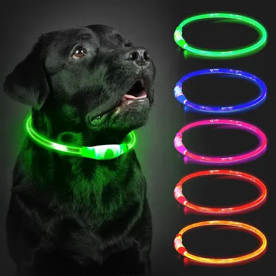 Productafbeelding van Lichthalsband voor honden - led - oplaadbaar - waterdicht - 3 lichtmodi - groen - 70 cm - inkortbaar