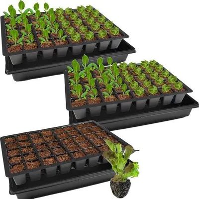 Obrázek produktu pro Stabilní plastové pěstební misky – 3 kusy – zelené