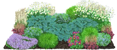Produktbild von Dehner Bio Stauden-Set für Halbschatten-Beete, je 3x 8 verschiedene Gartenstauden, insgesamt 24 mehrjährige Pflanzen, je 10 cm, Ø Topf je 9 cm, weiß / hellblau / gelb / lavendel / grün