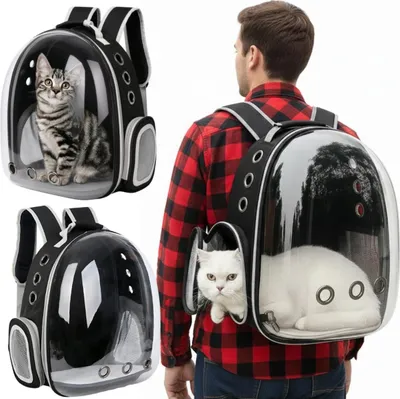 A collage of images showing a person wearing a pet carrier backpack with a cat inside, and close-ups of the backpack with different cats.