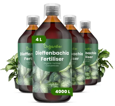 Zdjęcie produktu dla Dieffenbachia Nawóz Płynny 4x1 L – 3-4-3 NPK – Do Rośliny Domowe – Do Zdrowe Listy i Bujne Sfarbenie – Podporuje Korzenie i Vitalitu – Organifer