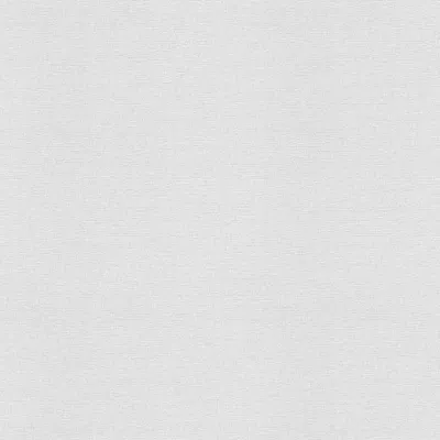 Produktbild von A.S. Création Vliestapete Meistervlies Pro Protect 2, weiss, überstreichbar, 25,00 m x 1,06 m, 246110, 2461-10