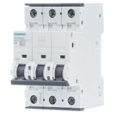 Obrázek produktu pro Siemens 5SY4306-8, IP20