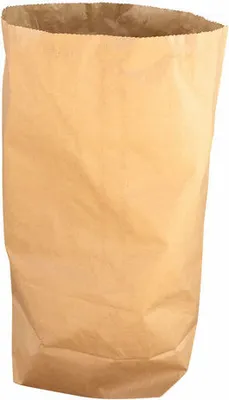 A single brown paper bag standing upright against a white background.