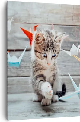 Produktbild von Bild auf Leinwand - Leinwandbild - Einteilig - Katze spaß origami - 70x100cm - Wand Bild - Wanddeko - Wandbilder - Leinwanddruck - Wanddekoration - Leinwand bilder - Wandbild - PA70x100-2818
