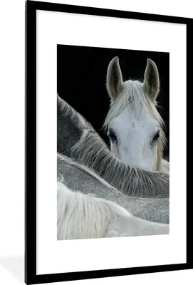 Produktbild von MuchoWow® Gerahmtes Poster Pferde - Tiere - Schwarz - Weiß 60x90 cm - Poster mit Schwarzem Bilderrahmen Wandposter Rahmen Foto Bilder - Dekoration - Wandposter Wohnzimmer - Hochwertig