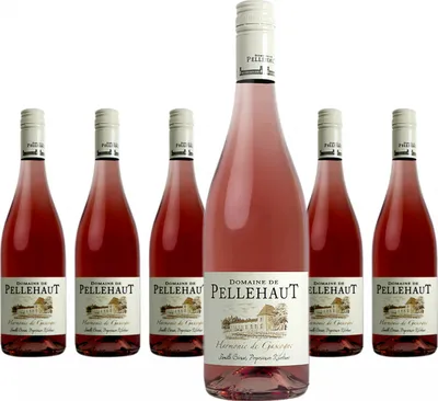 Produktbild von 6 x Domaine De Pellehaut Harmonie De Gascogne Rosé