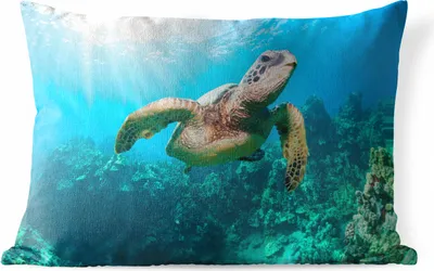 Produktbild von MuchoWow® Outdoor Kissen - Schwimmende Schildkröte Fotodruck - 50x30 cm - Wetterfest - Lounge Kissen - Sofa kissen - Wohnzimmer Dekoration
