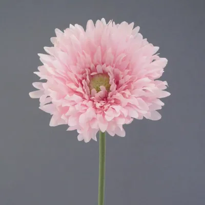 Produktbild von Kunstblume GERBERA 57cm ROSA