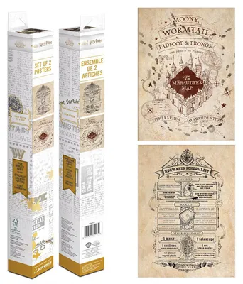 Immagine prodotto di Set di poster in scatola Harry Potter (Mappa e Elenco delle Scuole)
