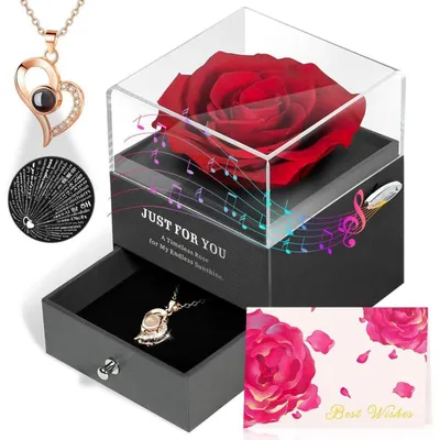 Produktbild von Geschenkset Ewige Rose mit Halskette 100 Sprachen & Spieluhr Rot