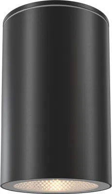 Obrázok produktu pre Maytoni Vonkajšie stropné svietidlo Maytoni O307CL-01B