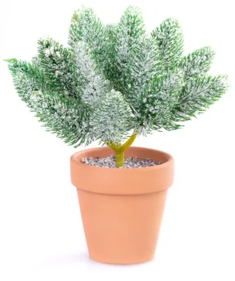 Productafbeelding van Decoratie MagicHome Kerst, takjes in pot, besneeuwd, 20 cm