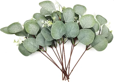 Produktbild von Künstliche Pflanzen, Künstliche Eukalyptus Pflanzen Zweige, künstlichen Blumen Blättern, dekorative Kunststoff Efeu Pflanzen für drinnen, Garten draußen, Schlafzimmer, Vase, Dekoration - 12 Bündel