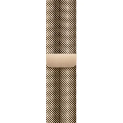 A close-up of a watch band.