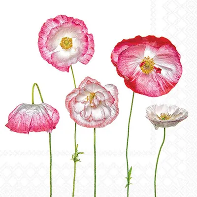 Imagen del producto de Servilletas para comida, 33x33 cm, de 3 capas, 20 unidades. Diseño: amapolas