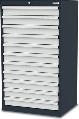Image de WS24 Armoire à tiroirs : 11 x 100 L x P x H 700 x 575 x 1220 mm - WS24-100272
