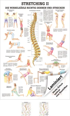 Produktbild von Stretching II Lehrtafel Anatomie 100x70 cm medizinische Lehrmittel