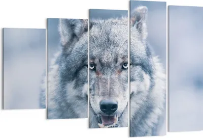 Produktbild von Bild auf Leinwand - Leinwandbild - 5 Teile - Wolf Raubtier Wildheit - 150x100cm - Wand Bild - Wanddeko - Wandbilder - Leinwanddruck - Bilder - Wanddekoration - Leinwand bilder - EG150x100-5073