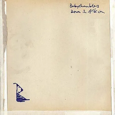 Produktbild von Babyshambles-Down In Albion