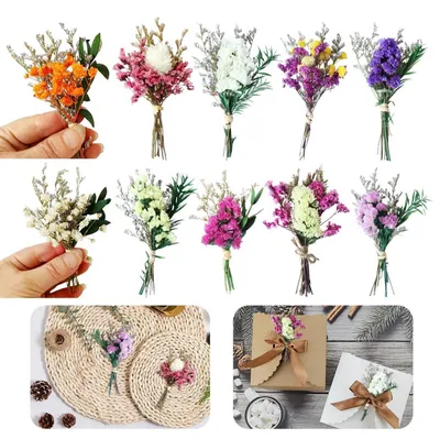 Image de 10 bouquets de fleurs séchées, style bohème, colorés, de 8 à 10 cm