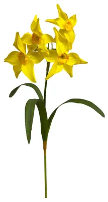 Produktbild von Kunstblume OSTERGLOCKE, Narzisse mit Blättern 40cm. GELB
