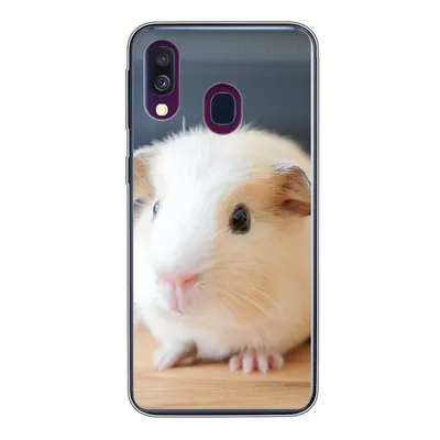 Produktbild von MuchoWow® Handyhülle Schutzhülle Hülle für Samsung Galaxy A40 Niedliches Baby-Meerschweinchen Silikon Softcase Handy Hülle - Handy-Tasche