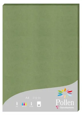 Produktbild von Pollen 50 Blatt A4 210g salbeigrün