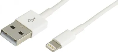 Image de 728336 - Câble Apple iPhone 5/6 - Connecteur Lightning mâle / USB-A mâle - Blanc - 2 mètres - Erard