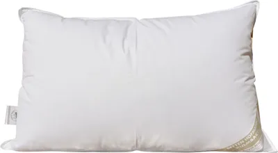 Produktbild von Hofmann Ideal Kopfkissen Polster 50x75 Daunenkissen 60% Daunen prall dick 700 g