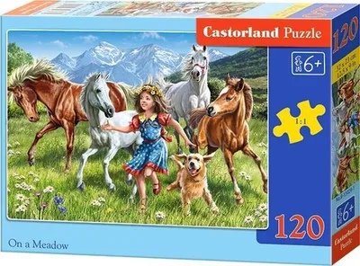 Image de Puzzle Castorland - Dans une prairie, 120 pièces