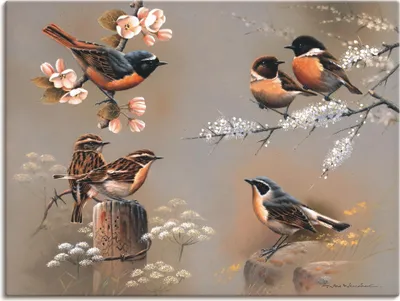 Produktbild von ARTland Leinwandbild Vogel Komposition Größe: 80x60 cm