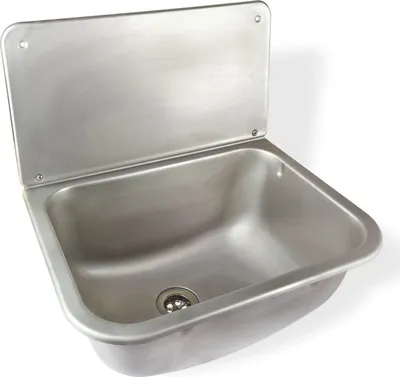 A stainless steel sink with a backsplash is shown against a white background.