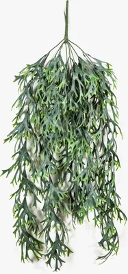 Produktbild von artplants.de Kunst Geweihfarn GRAFFIA auf Steckstab, grün, 80cm - Grünpflanze künstlich